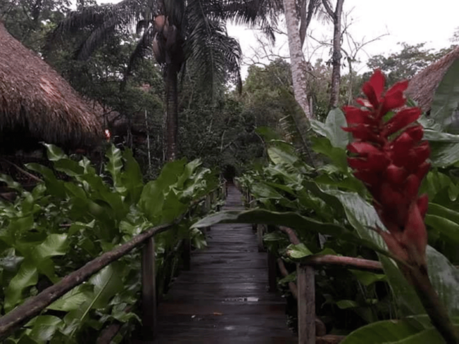 San Cristobal: Coffee Tour in the Mountains of Chiapas - Midday Activities