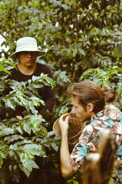 San Cristóbal De Las Casas: Coffee Route to Tenejapa - Inclusions
