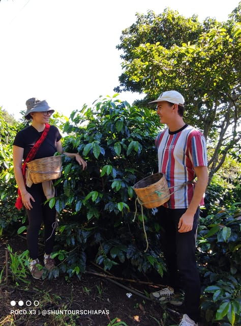 San Cristóbal De Las Casas: Coffee Route to Tenejapa - Exclusions