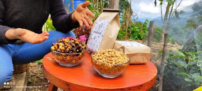 San Cristóbal De Las Casas: Coffee Route to Tenejapa - Logistics