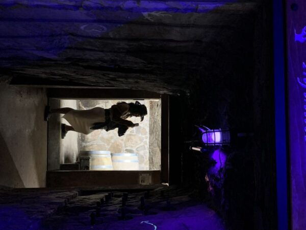 San Diego: 2-Day Wine Tasting Trip in Valle De Guadalupe - Inclusions, Participants, Date, and Additional Information