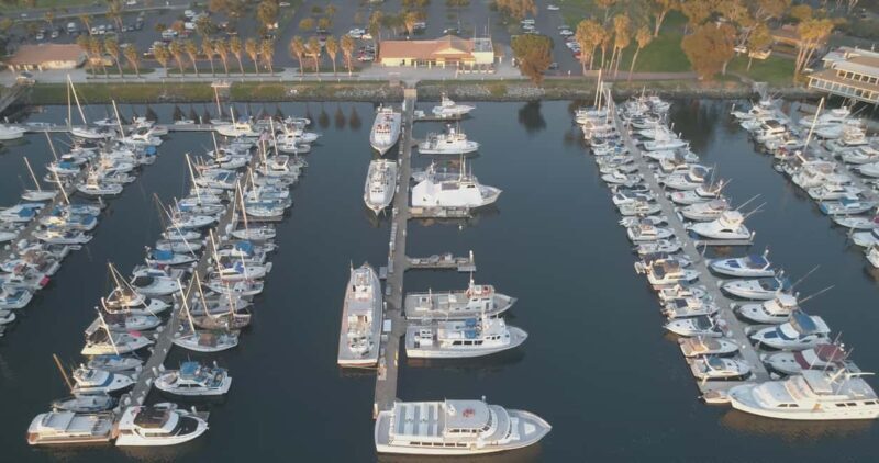 San Diego: 3 Hour Whale Watching Cruise - A Complete Overview of the San Diego Whale Watching Experience