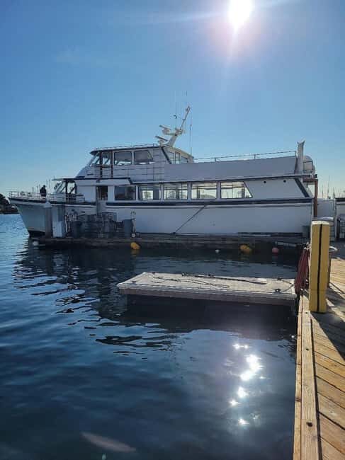 San Diego: 3 Hour Whale Watching Cruise - Who Should Book This Tour?