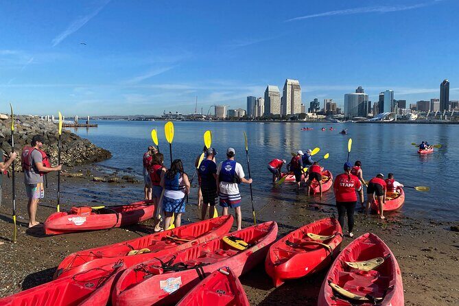 San Diego Bay 1.5-Hour Guided Kayak Tour in Coronado - Good To Know