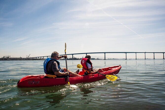 San Diego Bay 1.5-Hour Guided Kayak Tour in Coronado - Why This Tour Works Well