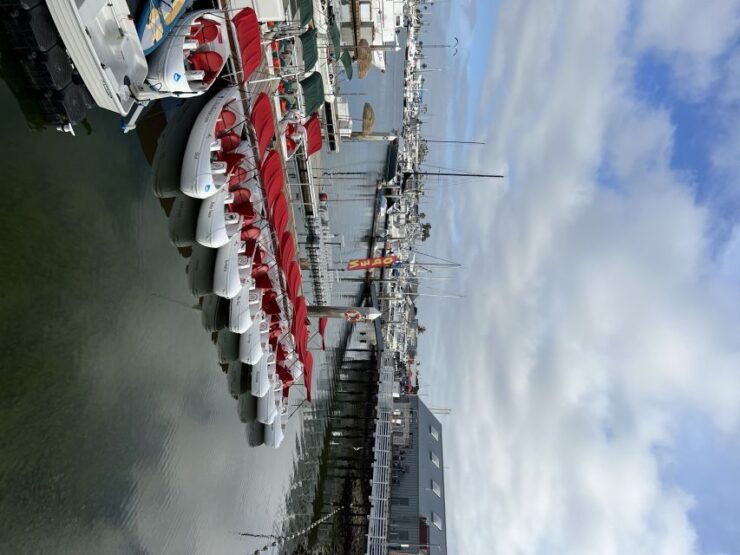 San Diego Bay: Eco-Pedal Boat Rental - Experience Highlights