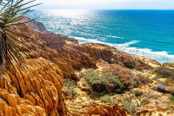 San Diego: Beaches & Bluffs Self-Guided Driving Tour - Tour Highlights