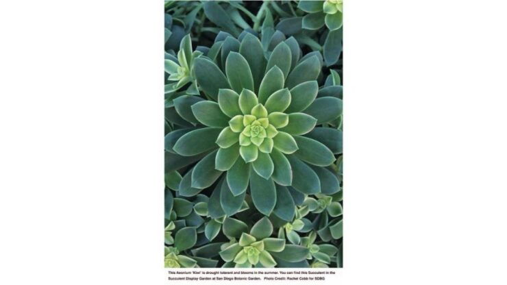 San Diego Botanical Garden Entry Ticket and Transportation - Booking and Duration