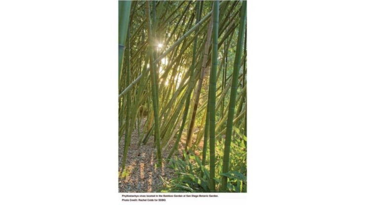 San Diego Botanical Garden Entry Ticket and Transportation - Experience and Highlights