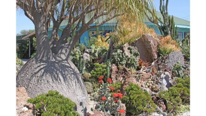 San Diego Botanical Garden Entry Ticket and Transportation - Inclusions