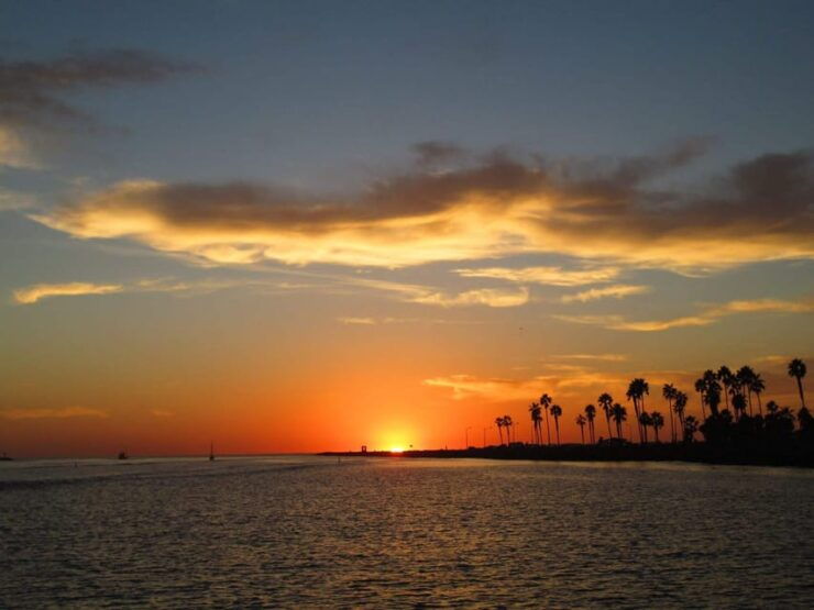 San Diego: Dolphin and Whale-Watching Sunset Cruise - Good To Know