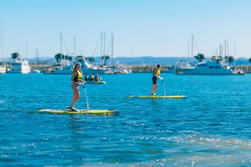 San Diego: Elliptical Paddle Board Rental - An Honest Look at the Elliptical Paddle Board Experience