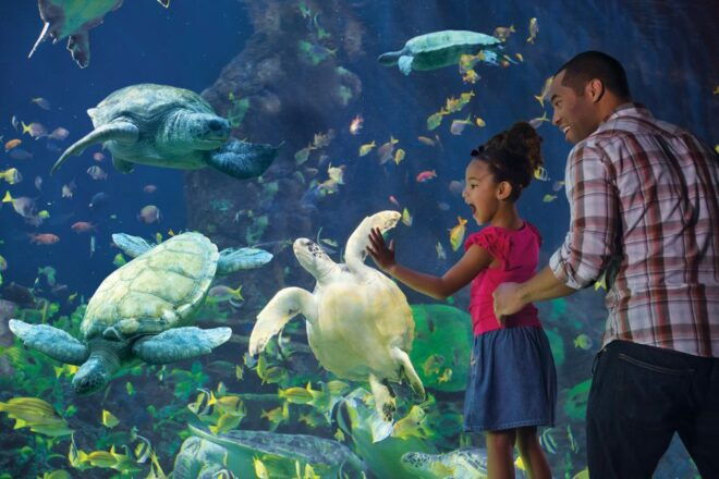 San Diego: Go City All-Inclusive Pass With 50 Attractions - Select Participants, Date, and Language