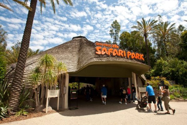 San Diego: Go City All-Inclusive Pass With 50 Attractions - San Diego Harbor Cruise