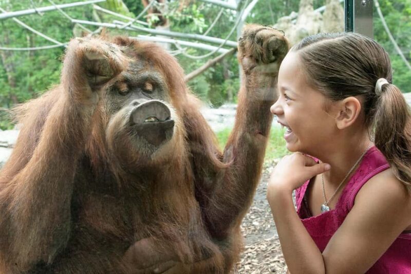 San Diego: Go City Essentials Pass - Good To Know