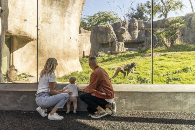 San Diego: Go City Explorer Pass - Choose 2-7 Attractions - Top Museums to Visit With the Pass