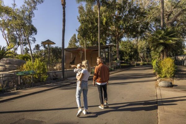 San Diego: Go City Explorer Pass - Choose 2-7 Attractions - The Sum Up
