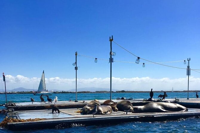 San Diego Harbor Speed Boat Adventure - Common Questions
