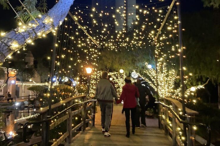 San Diego: Holiday Lights and Sights Trolley Tour - Festive Lights and Highlights