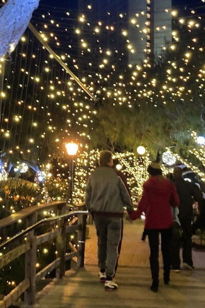 San Diego: Holiday Lights and Sights Trolley Tour - Frequently Asked Questions