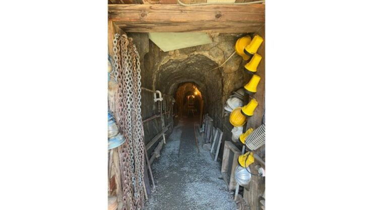 San Diego: Julian Gold Mine and Pie Tour - Guided Tour of Mines