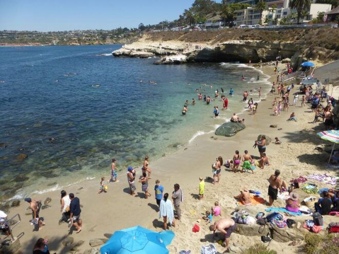 San Diego Life at the Beach Tour - Experience Highlights