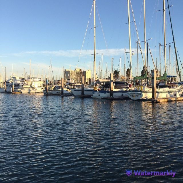 San Diego: Marine Wildlife Tour With Lunch - Gourmet Meal and Drink Included