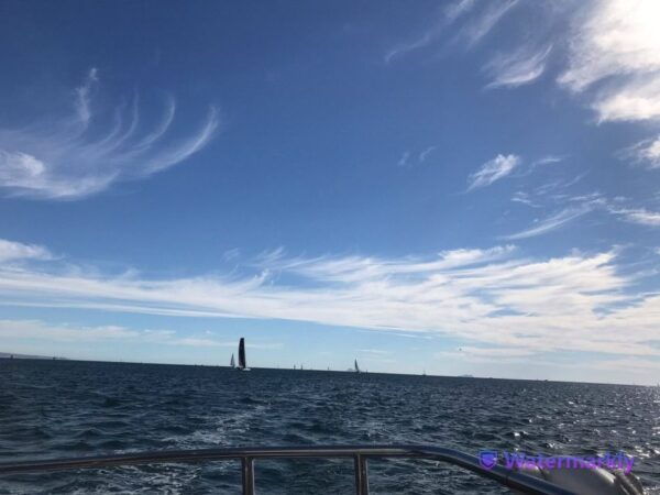 San Diego: Marine Wildlife Tour With Lunch - Important Information for Participants