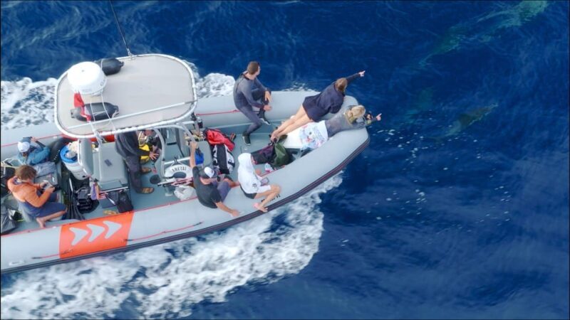 San Diego Ocean Safari: 6-Hour Snorkel Adventure! - Practical Details & Tips  