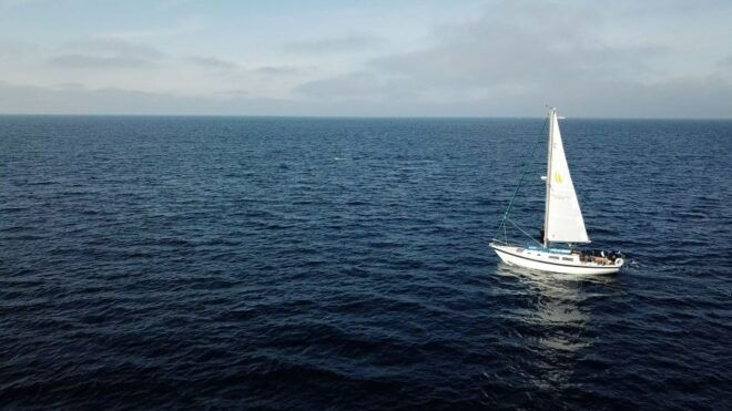 San Diego: Private 2-Hour Sailing Tour for 3-6 People - Testimonials and Reviews