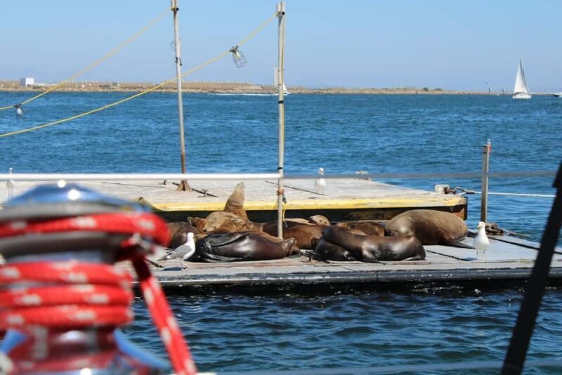 San Diego: Private Morning Sail up to 12 guests - What to Expect on This Morning Sail