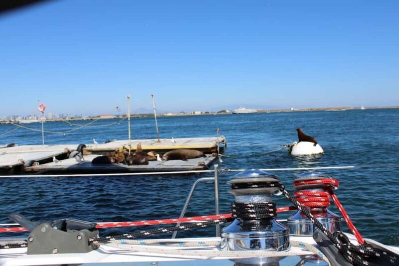 San Diego: Private Morning Sail up to 12 guests - Who Should Consider This Tour?
