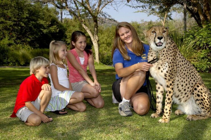 San Diego: San Diego Zoo Safari Park 1-Day Ticket - Experience Highlights