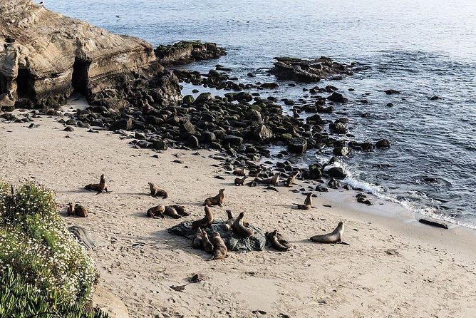 San Diego Scenic Tour - Highlights and Specific Highlights