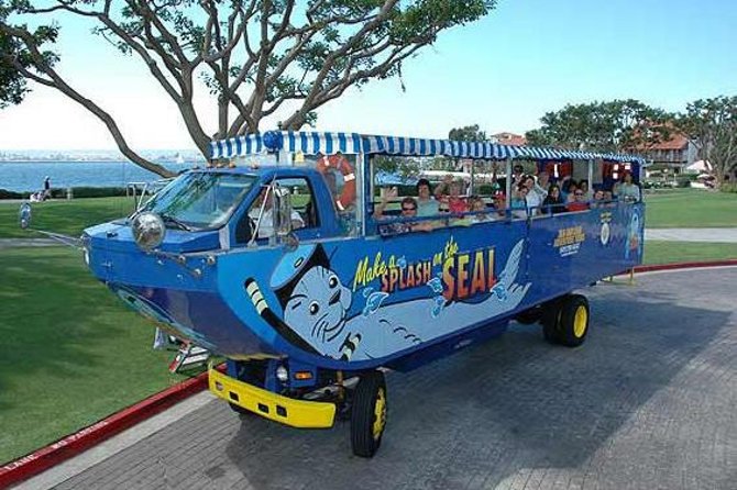 San Diego Seal Tour - Positive Reviews