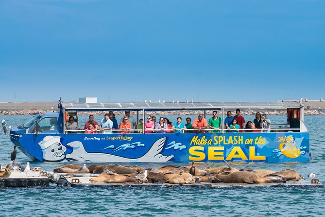 San Diego Seal Tour - Sightseeing Highlights