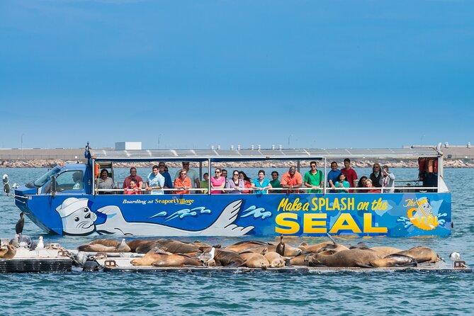 San Diego Shore Excursion: San Diego Seal Tour - Tour Experience