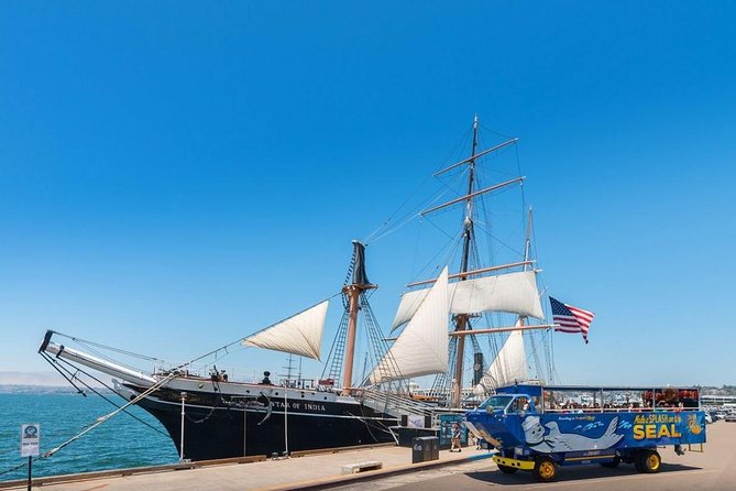 San Diego Shore Excursion: San Diego Seal Tour - Customer Reviews