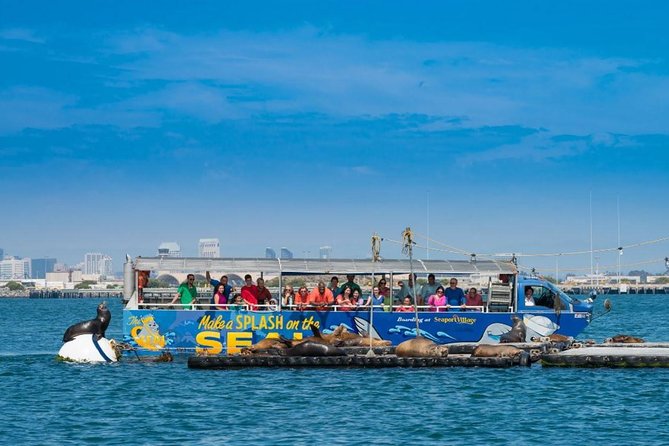 San Diego Shore Excursion: San Diego Seal Tour - Common Questions