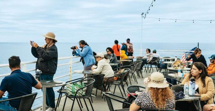 San Diego: Whale and Dolphin Watching Cruise - Booking Information