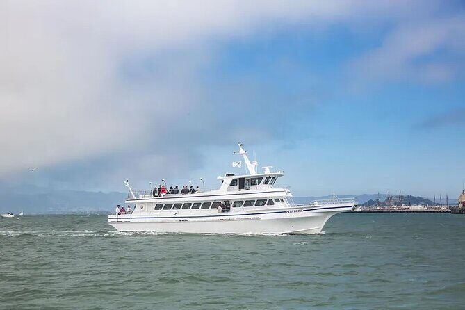 San Diego Whale/Dolphin Watching Cruise Aboard Luxury Vessel - A Fine Balance of Comfort and Adventure