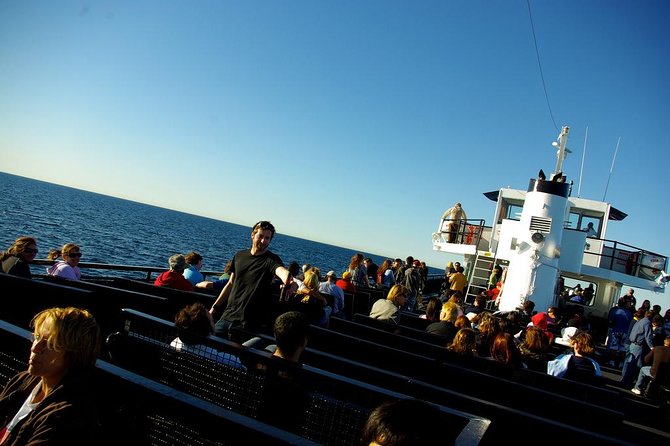 San Diego Whale Watching Cruise - Meeting and Pickup Information