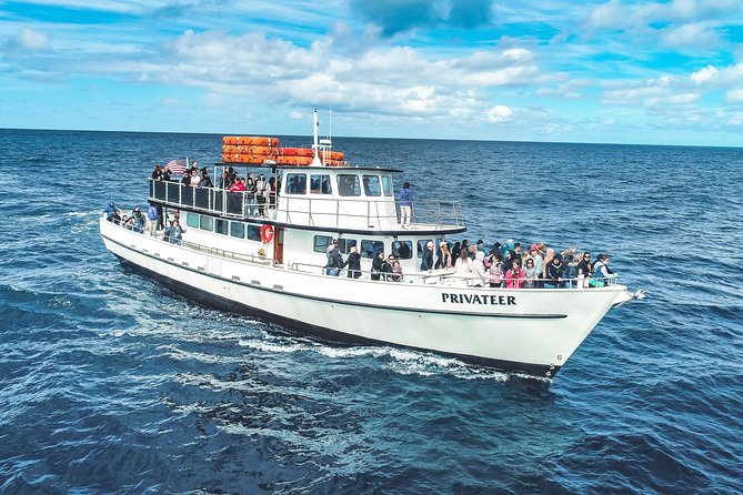 San Diego Whale Watching Tour - Tips for a Successful Whale Watching Tour