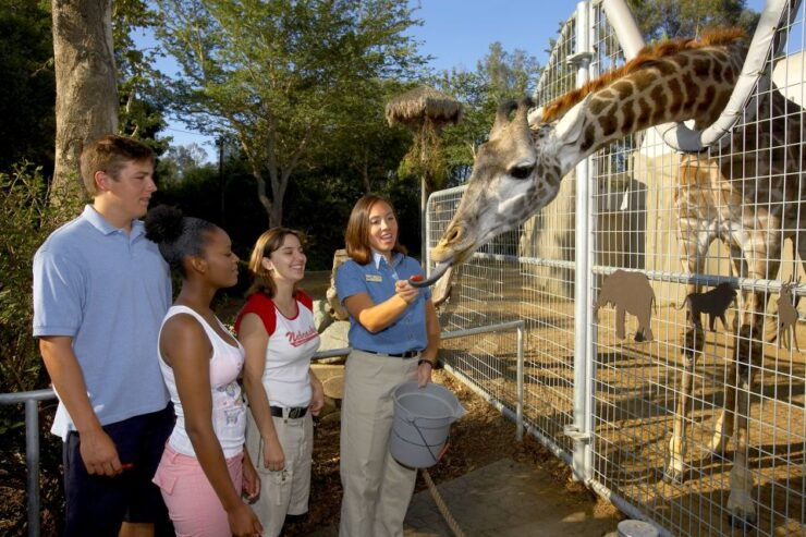 San Diego Zoo: 1-Day Admission Ticket - Ticket Information