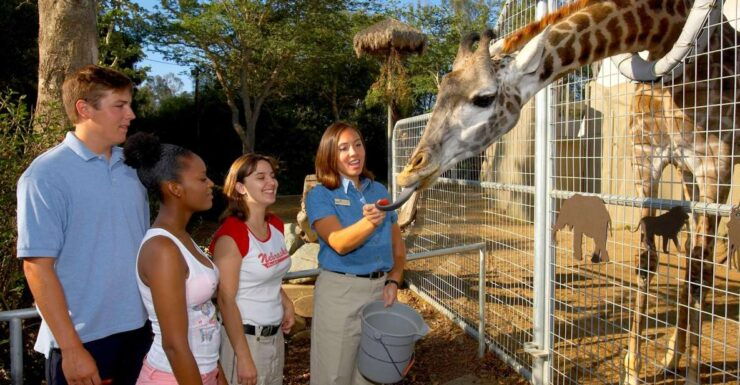 San Diego Zoo: 1-Day Admission Ticket - Experience Highlights