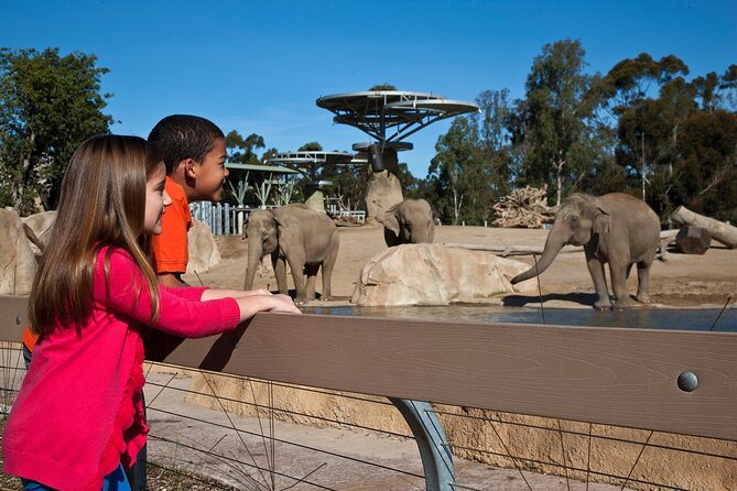 San Diego Zoo 1-Day Pass Any Day Ticket - Overview and Highlights of San Diego Zoo