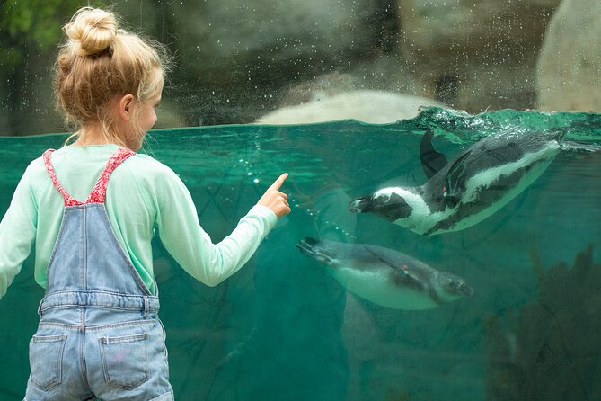 San Diego Zoo 1-Day Pass Any Day Ticket - How to Purchase a San Diego Zoo 1-Day Pass Any Day Ticket
