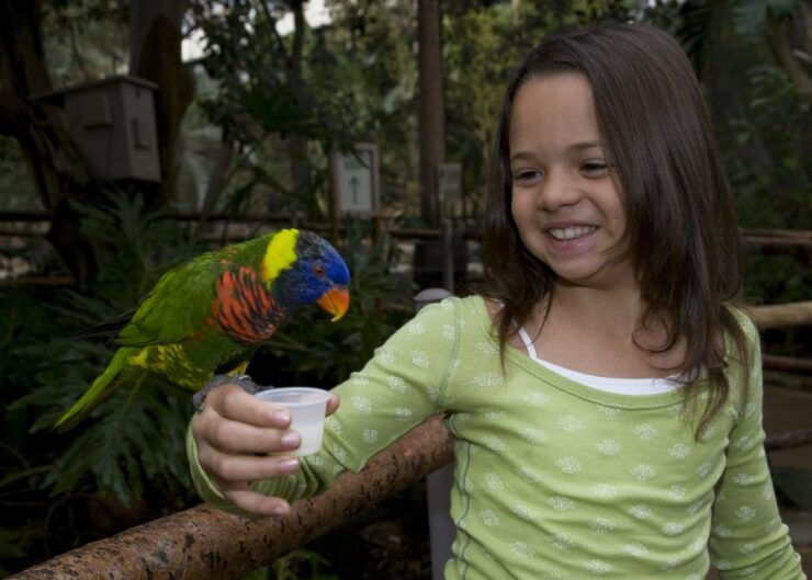 San Diego Zoo and Safari Park: 2-Day Entry Ticket - Experience at the San Diego Zoo and Safari Park
