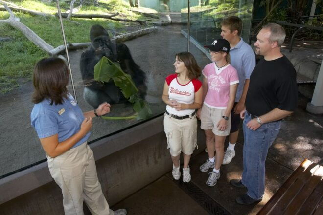 San Diego Zoo and Safari Park: 2-Day Entry Ticket - Description of the San Diego Zoo and Safari Park