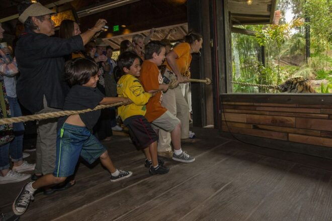 San Diego Zoo and Safari Park: 2-Day Entry Ticket - Important Notes and Restrictions